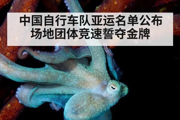 中国自行车队亚运名单公布 场地团体竞速誓夺金牌