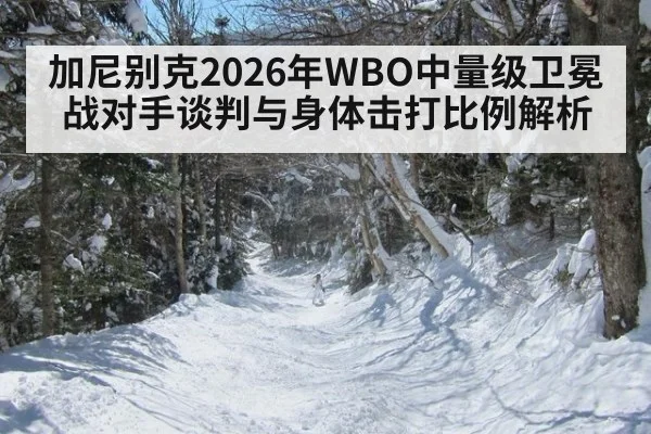 加尼别克2026年WBO中量级卫冕战对手谈判与身体击打比例解析